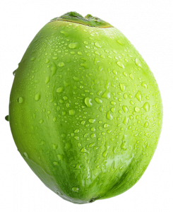 Coco Fresh - Tender Green Coconut -Bulk Order Minimum Quantity 500 pcs Liimra Naturals